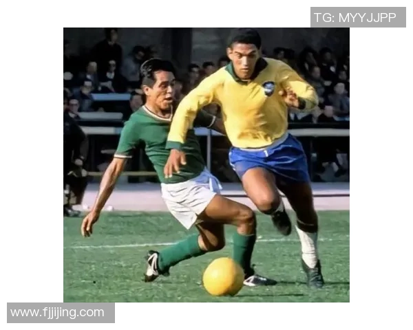 巴西足球明星外号背后的故事与文化意义解析