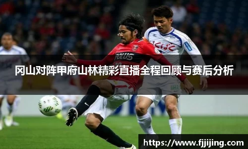 DG视讯官网