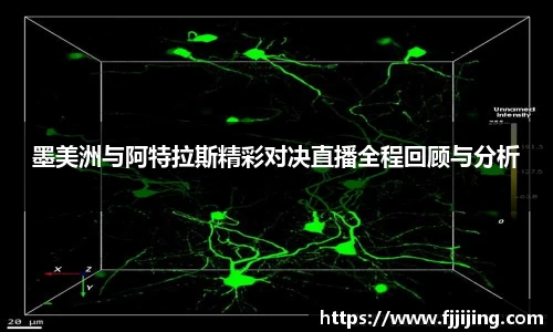 DG视讯官方网站