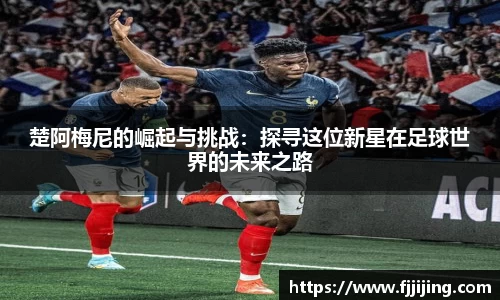 DG视讯