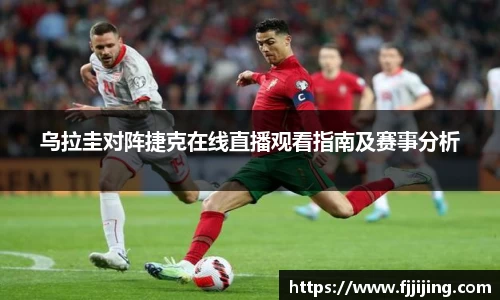 DG视讯